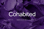 Cohabited Sans Serif Family Font, a Sans Serif Font by UICreative (Thumbnail 1 of 13)