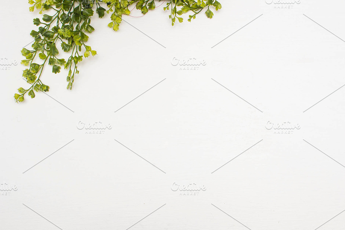 Modern Mockup, Clean Mockups, a Background Photo by BlueBooks (Photo 3 of 14)