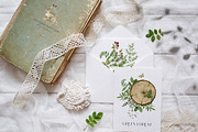 GREEN FOREST watercolor collection, an Object Illustration by long summer (Thumbnail 8 of 17)
