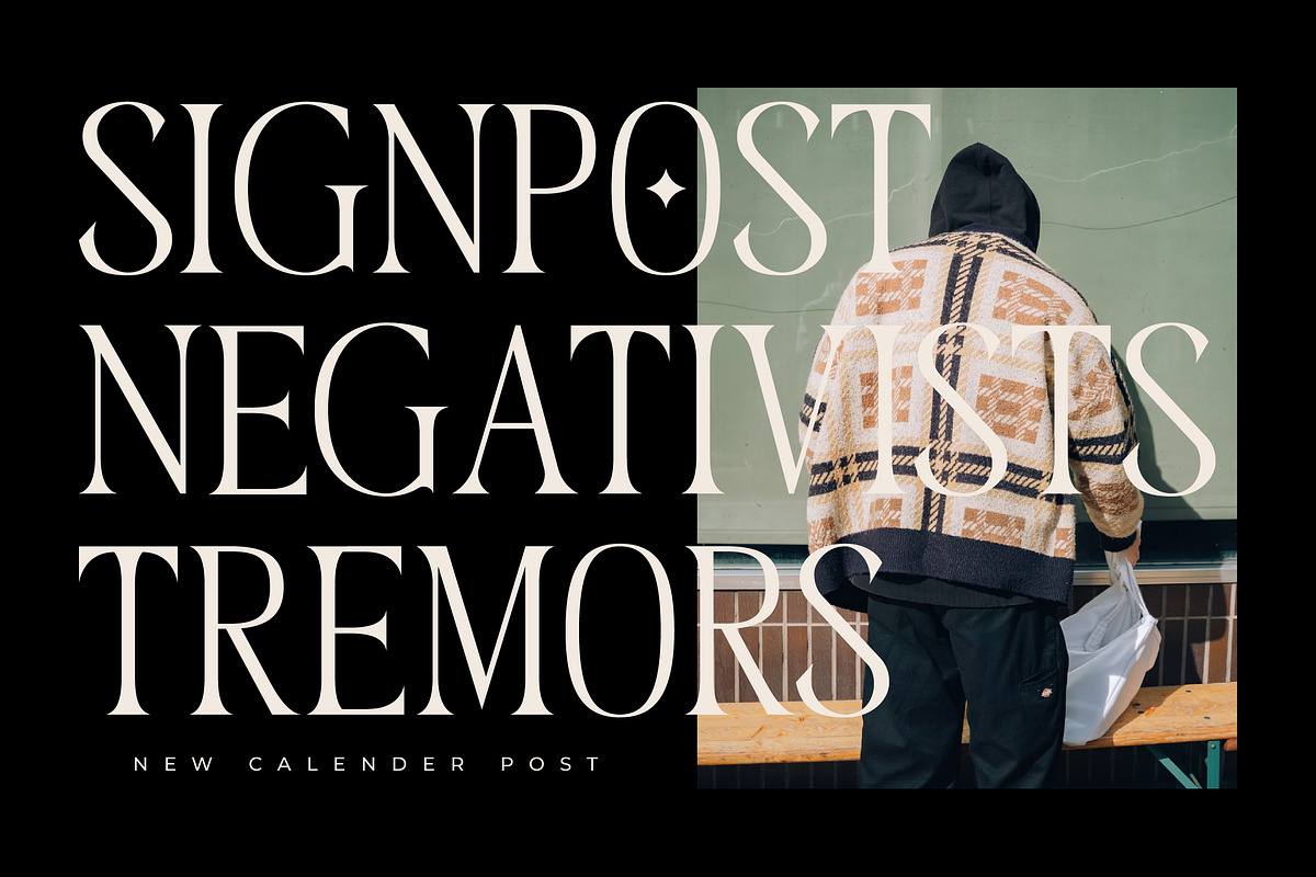 Megunso - Modern Serif Font, a Serif Font by AmorfaType (Photo 3 of 10)