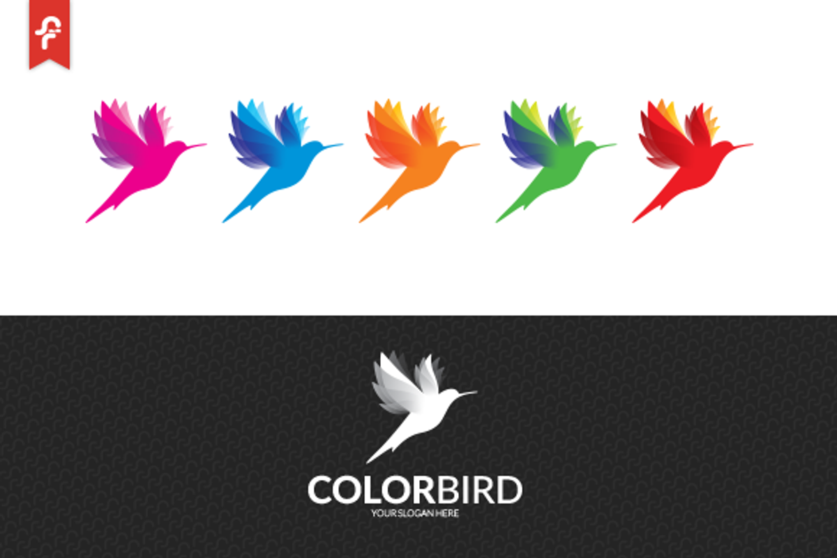 Color Bird Logo, a Branding & Logo Template by ft.studio