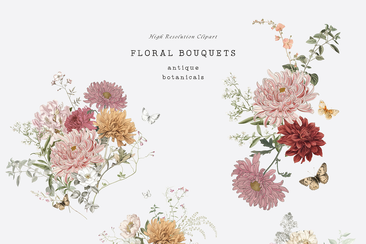 ANTIQUE BOTANICALS Vintage Flowers, a Decorative Illustration by Muse Artist (Photo 3 of 12)