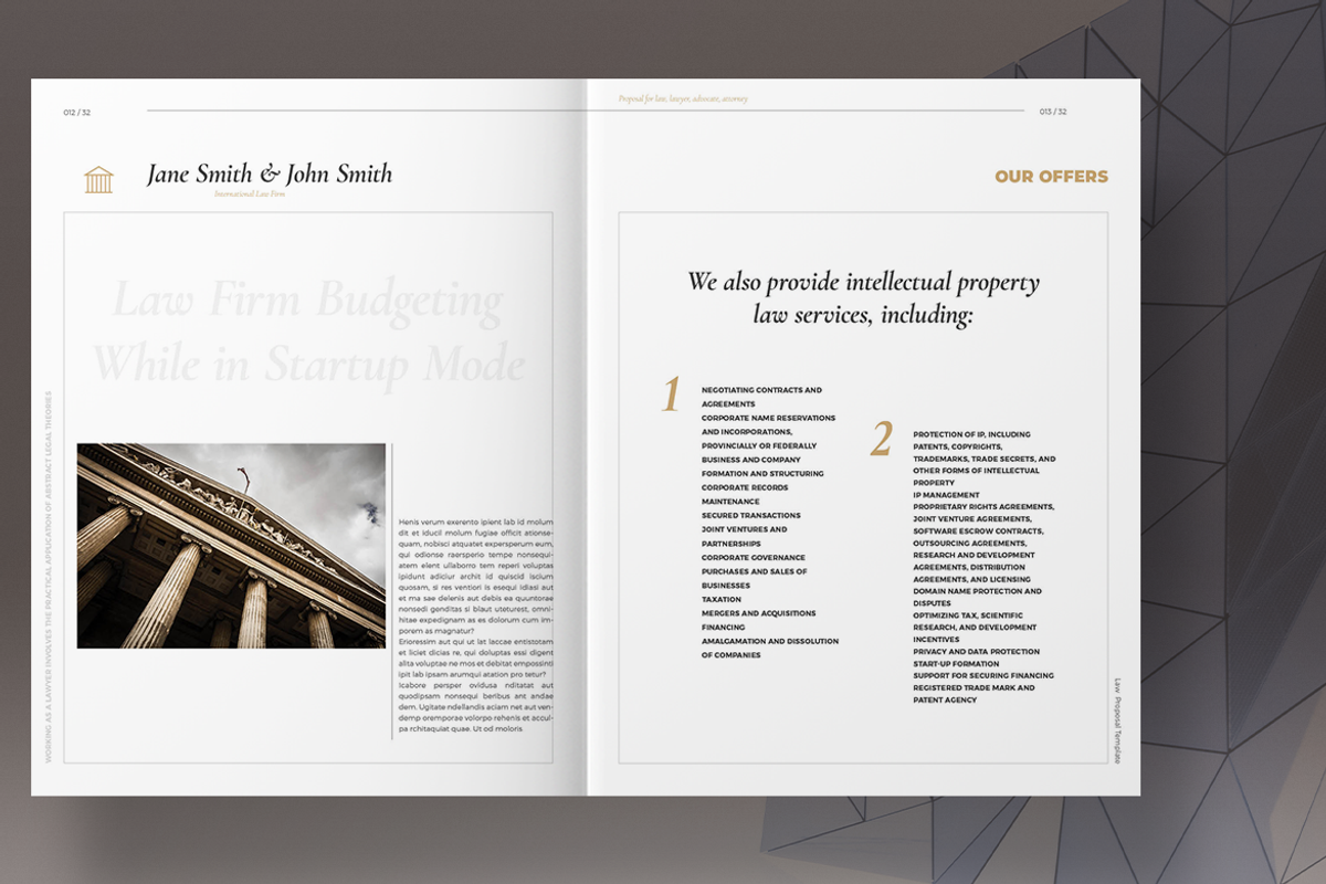 Law Proposal Layout, a Brochure Template by Boris Cupac