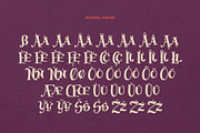 Jumping Rabbit - Funny Font, a Slab Serif Font by Gleb Guralnyk (Thumbnail 8 of 8)