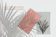 30 Botanical Shadow Overlays, a Mockup by Megs Lang (Thumbnail 2 of 8)