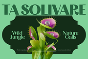 TA Solivare Variable, a Sans Serif Font by TAFT Foundry (Thumbnail 8 of 15)
