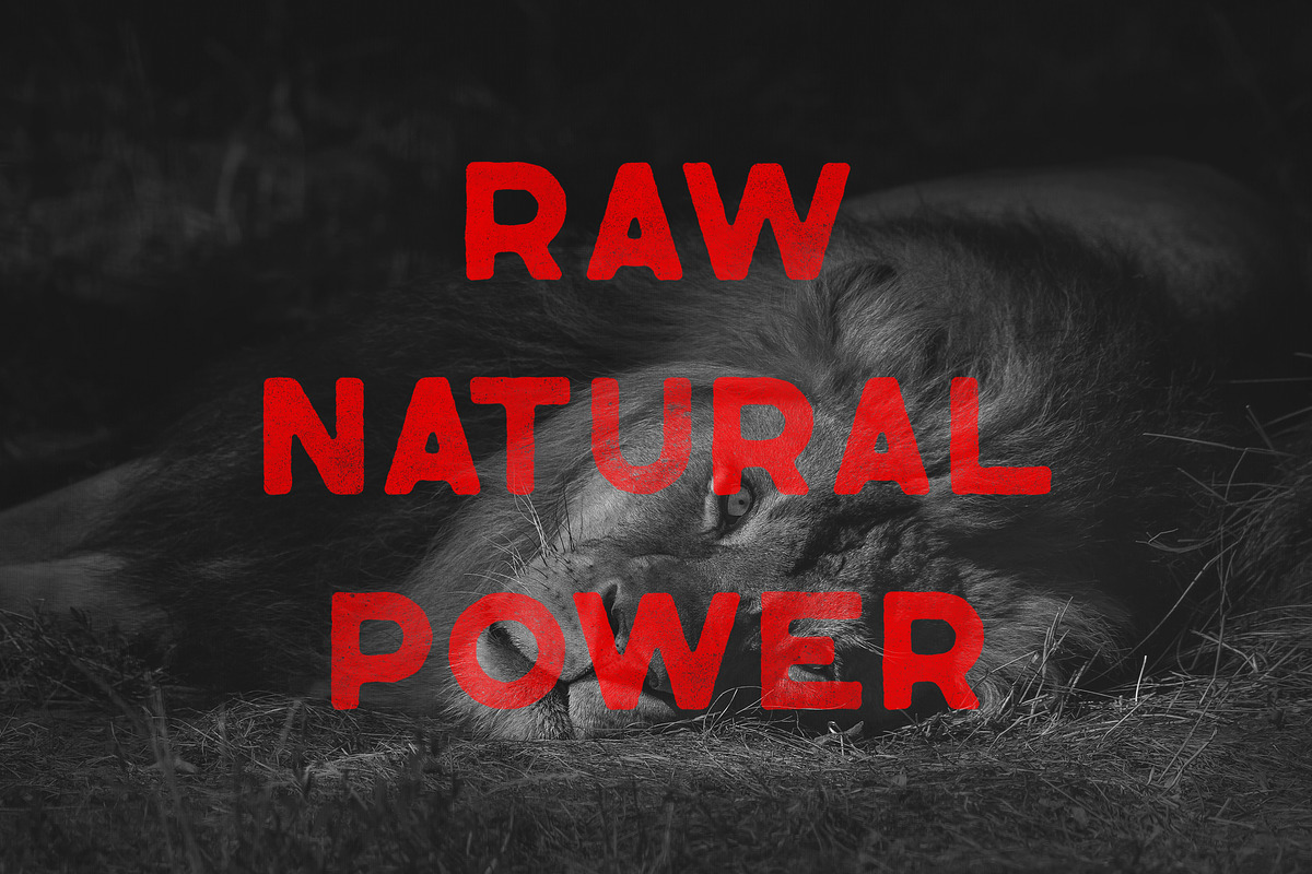 Lagom SVG font + 2 rough OTF fonts, a Font by VP Fonts (Photo 5 of 8)