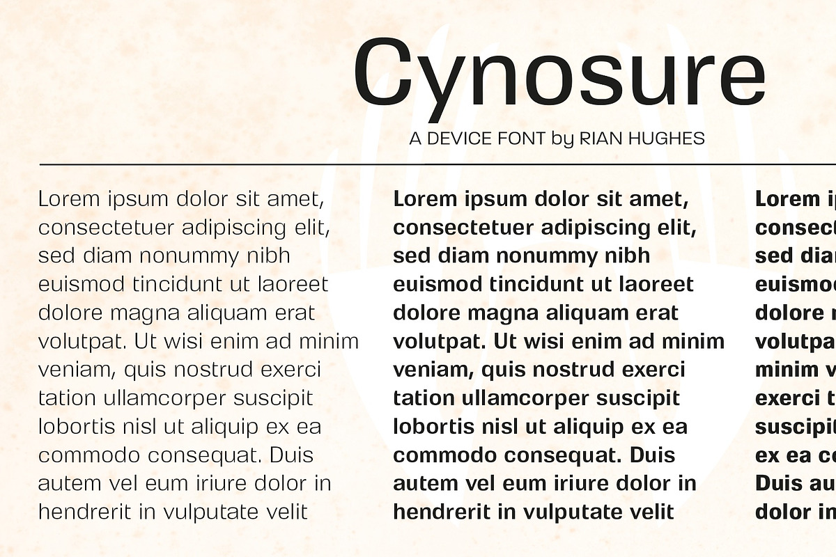 Cynosure, a Sans Serif Font by Device (Photo 6 of 8)