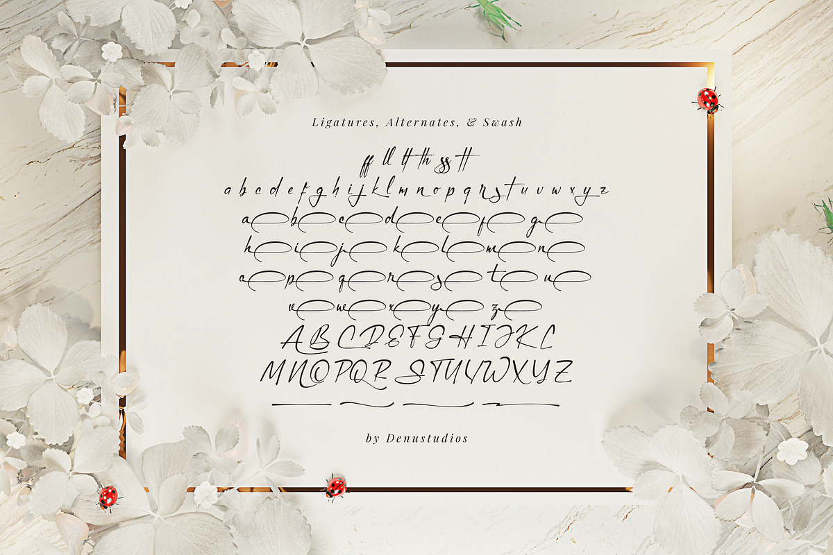 Simsalty Barthilon Elegant Signature, a Script Font by Denustudios (Photo 12 of 12)