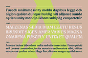 Aeda Rift, a Serif Font by ZP Fonts™ (Thumbnail 8 of 12)