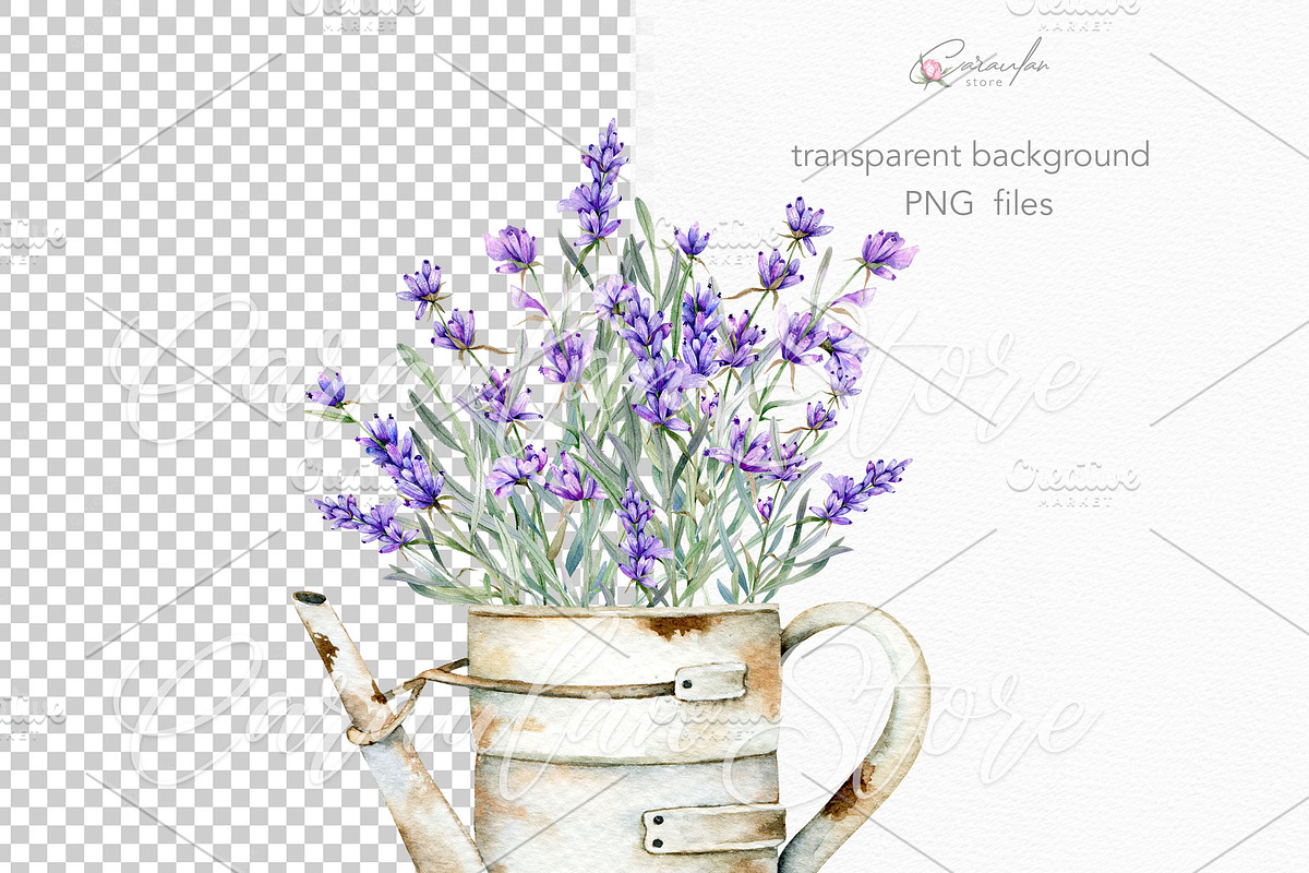 Hand Painted Lavender Watercolor, an Object Illustration by CaraulanStore (Photo 4 of 6)