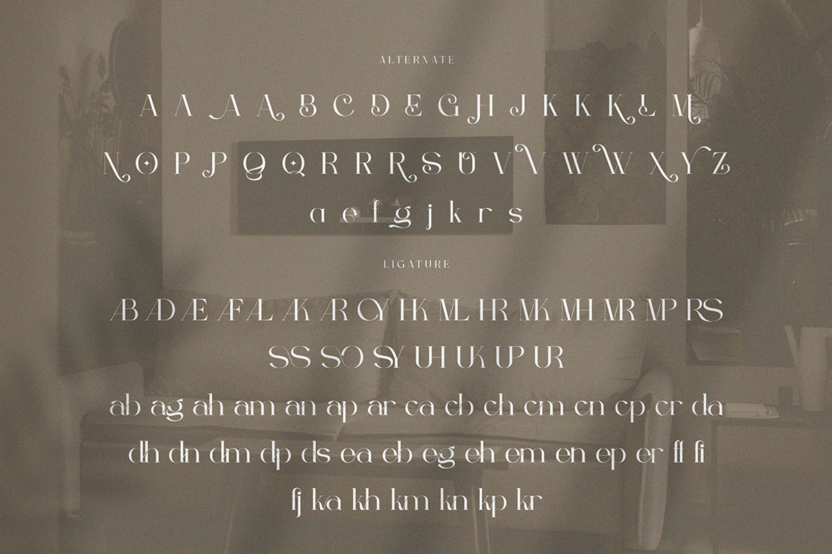 Berfilem - Editorial Display Serif, a Serif Font by Cruzine (Photo 5 of 8)