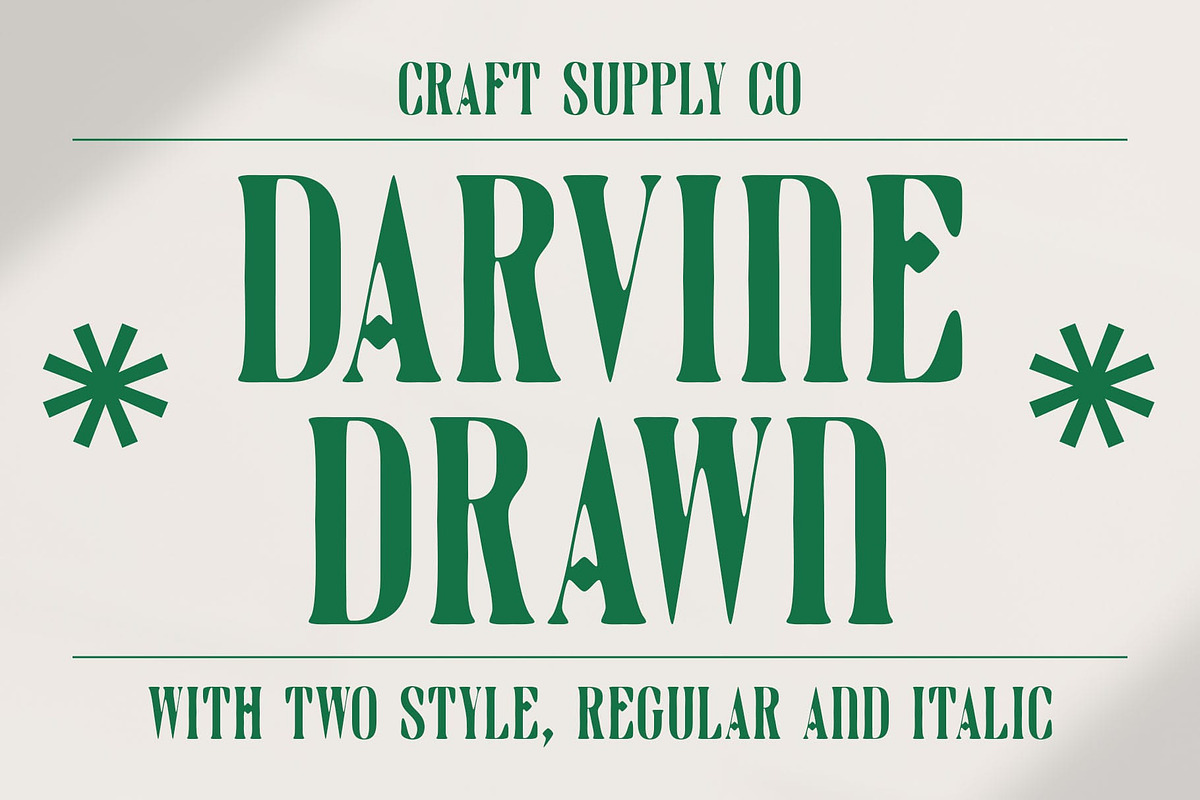 Darvine Drawn, a Serif Font by Craft Supply Co. (Photo 1 of 8)