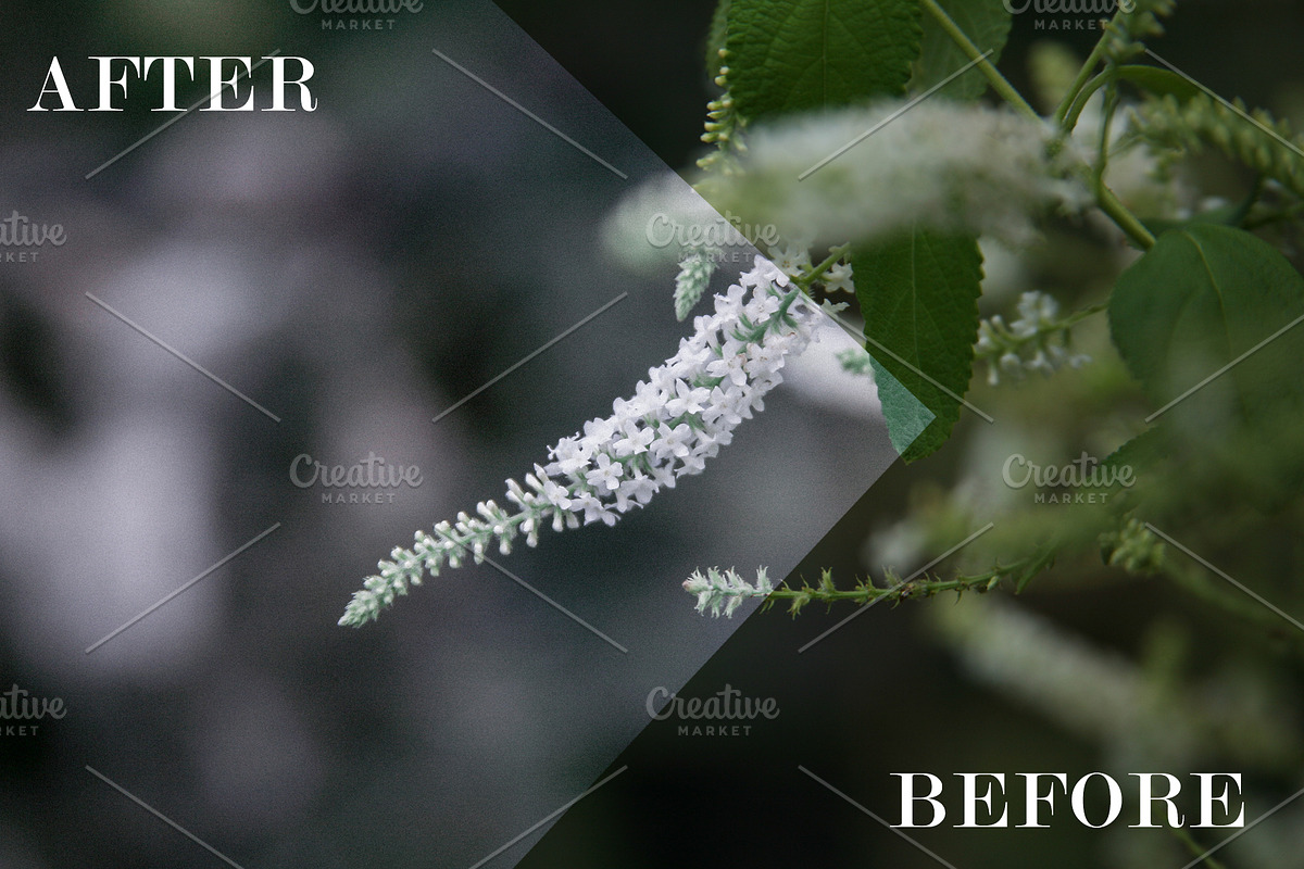 GREENMOOD Inspired Lightroom Preset, an Action Add-On by J.Hermawan Photography (Photo 2 of 3)