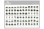 72 Summer Trees Photo Overlays, a Nature Photo by KenScape (Thumbnail 3 of 3)
