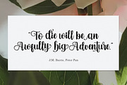Vebita, a Font by Genesis Lab (Thumbnail 10 of 10)