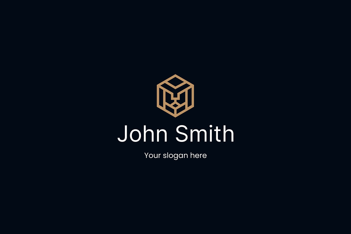 Modern  (Lion) logo, a Branding & Logo Template by Leschinger.cz (Photo 2 of 3)