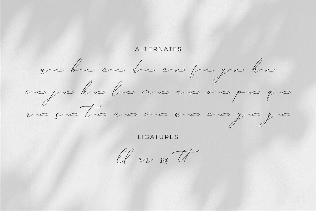 Gladista Arabela Beauty Calligraphy, a Script Font by Storytype Studio (Photo 14 of 15)