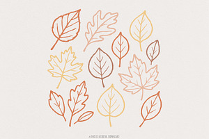 Autumn Leaves PNG, Fall Leaves PNG,, an Illustration by SharpMarketplace