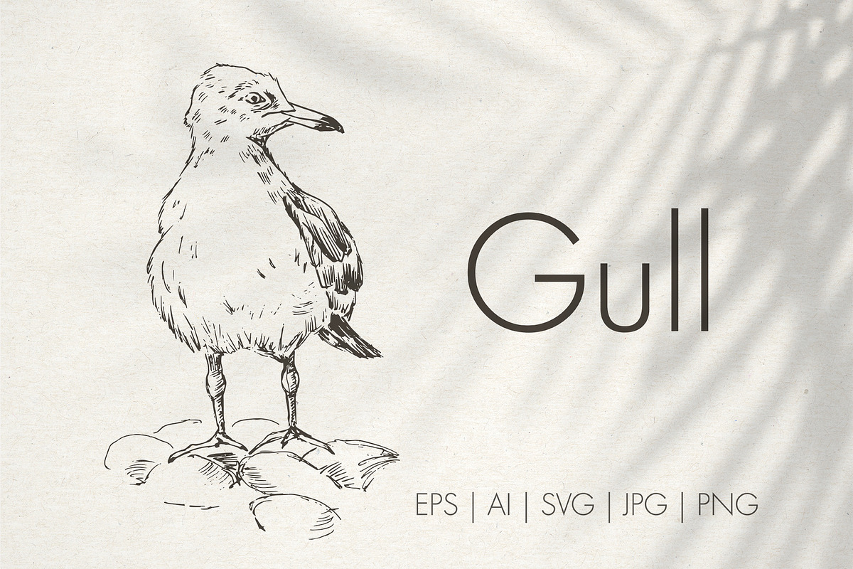 Sea gull. Hand-drawn sketch, an Illustration by Canatic (Photo 1 of 5)