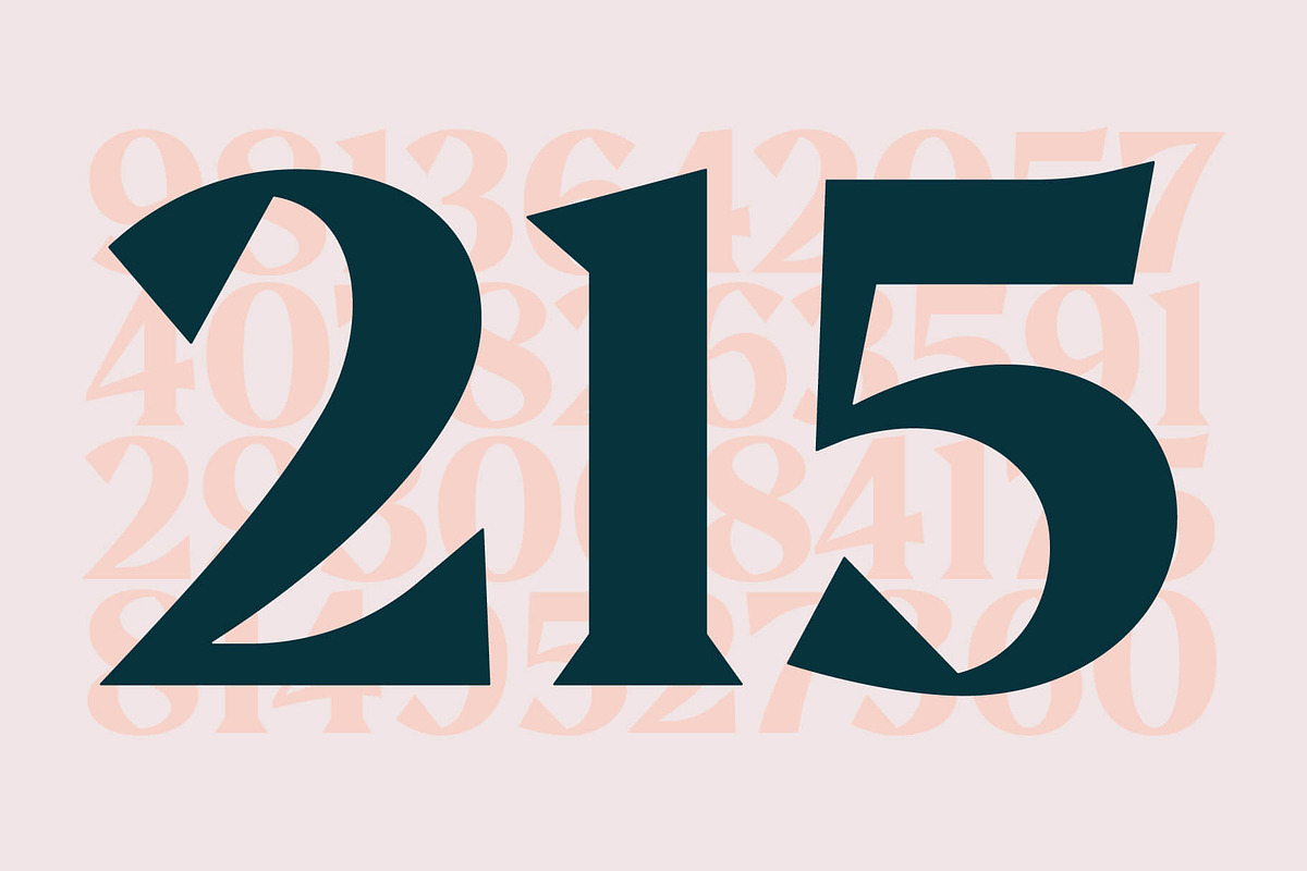 Aeda Rift, a Serif Font by ZP Fonts™ (Photo 6 of 12)