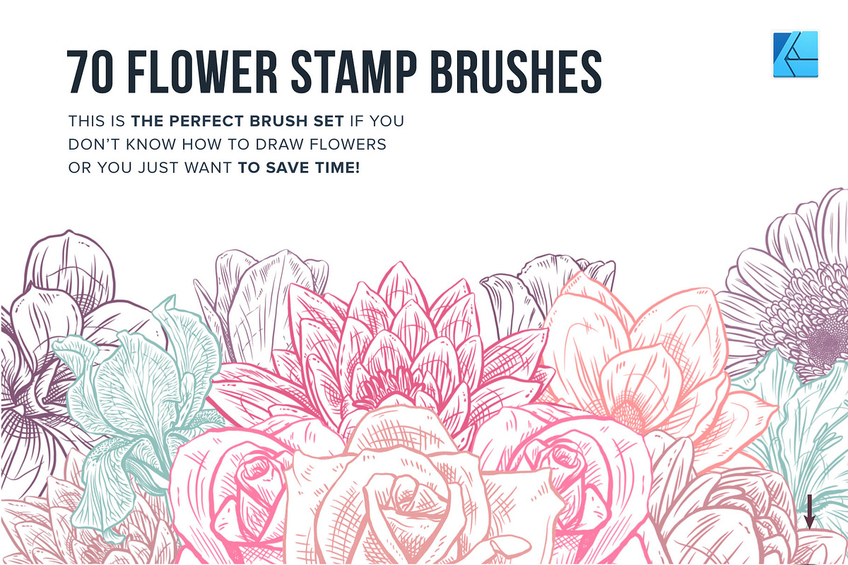 87 Floral Affinity Stamp Brushes, a Brush Add-On by Riveros Illustration (Photo 6 of 11)