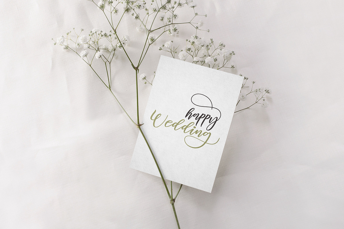 Diary Amily Script preview 7