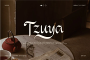 Bracy - Modern Elegant Font, a Serif Font by Prestigetype (Thumbnail 6 of 8)