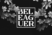 Fogie - Serif Family, a Serif Font by din-studio.com (Thumbnail 11 of 21)