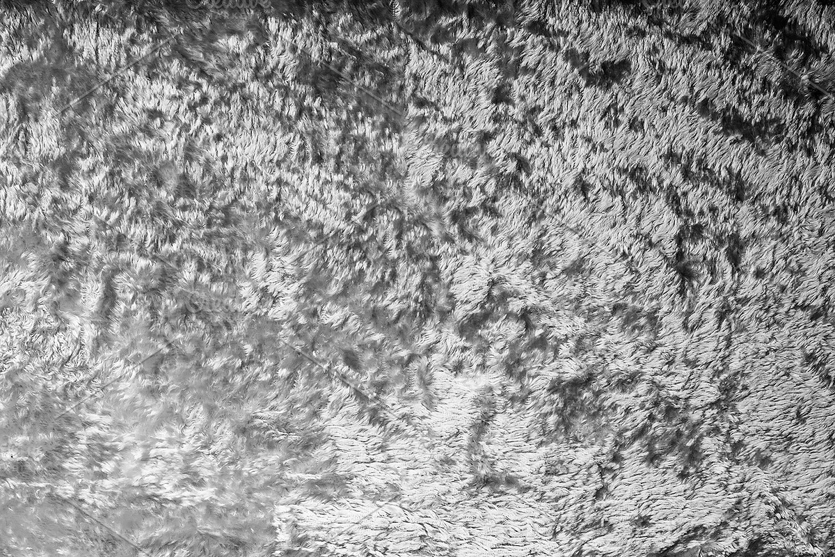 Wool and Fur Texture Wool Background, a Background Photo by VetalStock (Photo 5 of 5)