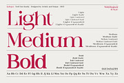 Epilogus - Serif font family, a Serif Font by Artistic & Unique (Thumbnail 2 of 15)