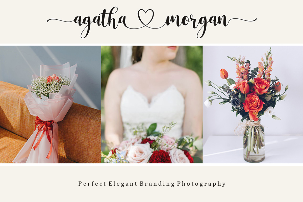 Sophia Bianca | Lovely Fonts, a Script Font by Bosstype Studio (Photo 5 of 10)