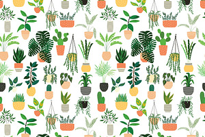 House Plants Illustrations & Pattern