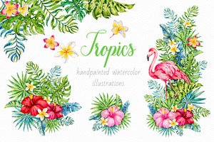 Tropics.Watercolor Collection