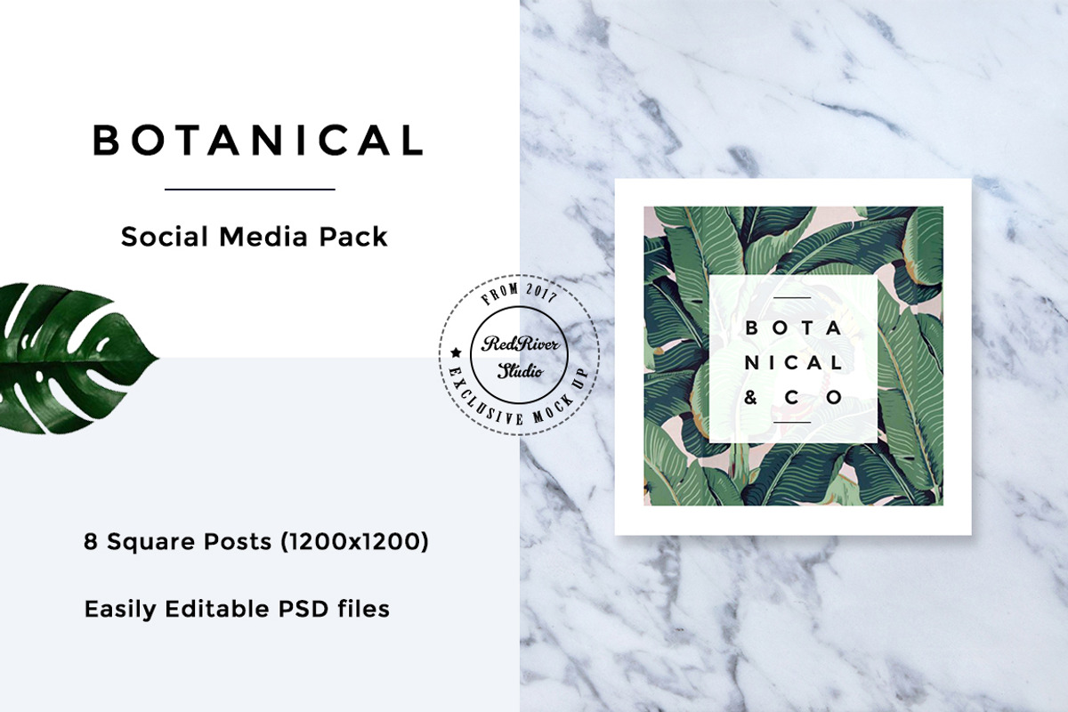 Botanical Social Media Pack, a Templates & Theme by RedRiver Studio (Photo 4 of 12)