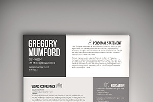 6 Shades CV/Resume