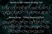 Barista Script, a Script Font by Aldedesign (Thumbnail 7 of 7)