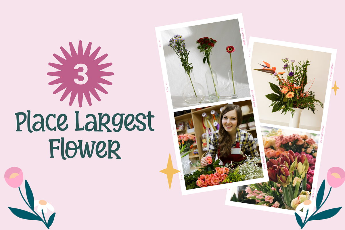 Classy Flowers - a Quirky Font, a Font by Ali Hamidi (Photo 5 of 9)