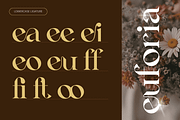 Lavero - Modern Ligatures Font, a Serif Font by Nirmana Visual (Thumbnail 5 of 8)