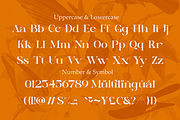 Sunny Paradise - Decorative Typeface, a Serif Font by Windfall Co (Thumbnail 9 of 11)