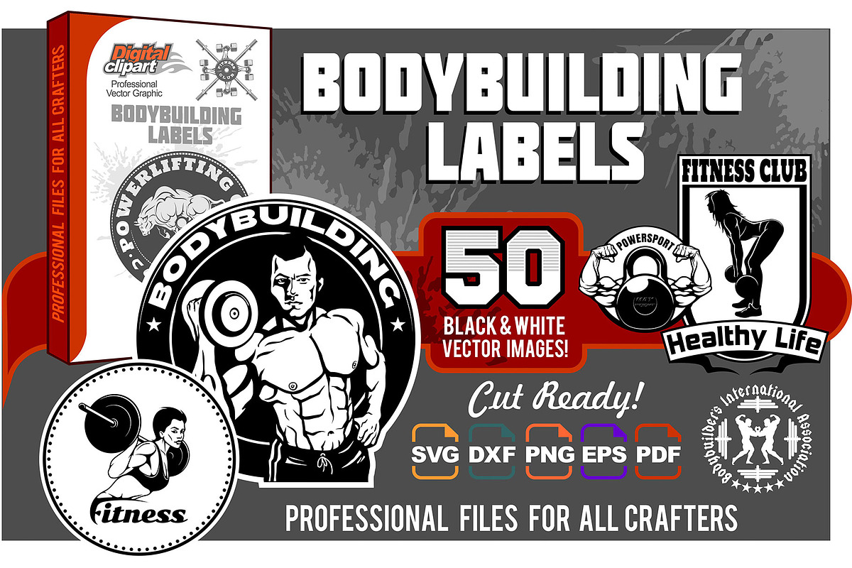 50 designs - Bodybuilding Labels, a Healthcare Illustration by Digital ...