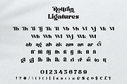 Rottran - Rounded Display Serif Font, a Serif Font by Ekahermawan (Thumbnail 11 of 12)