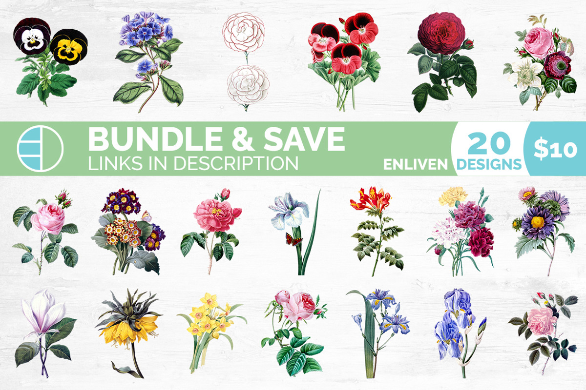 Flowers Aster Purple Clipart Vintage, an Illustration by Enliven Designs (Photo 2 of 9)