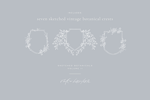 Sketched Botanical Crests & Wreaths