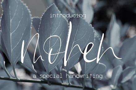 Mohen Font, a Script Font by SophieSaxo