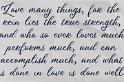 Special Bouquet | A Flourish Font, a Script Font by Colllab Studio (Thumbnail 2 of 19)