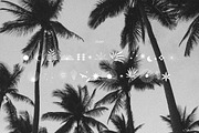 Cerkiymo Elegant Typeface, a Sans Serif Font by Hishand Studio (Thumbnail 5 of 10)