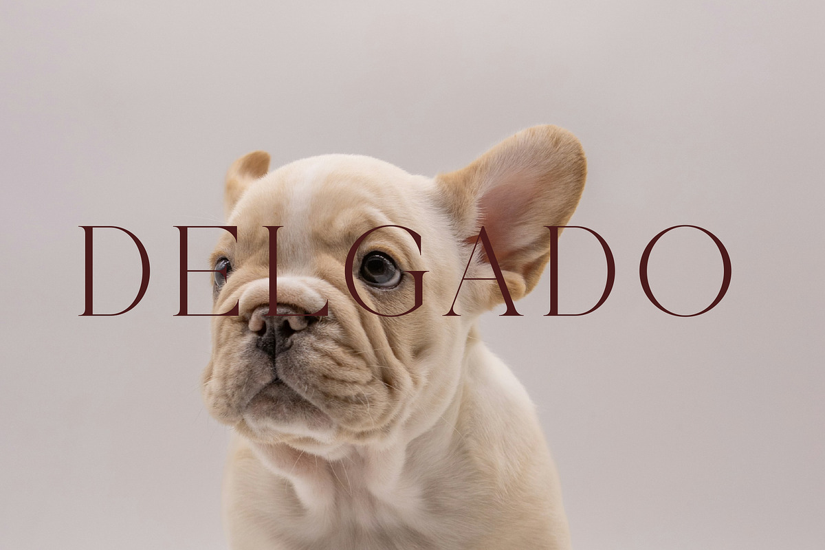 Crimle - An Elegant Serif Font, a Serif Font by Muflieart (Photo 8 of 10)