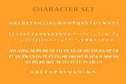 Fellinian - Mid Century Logo Sans, a Sans Serif Font by Anya-D (Thumbnail 3 of 17)