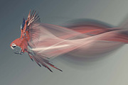 Light Trails Effect Photoshop Action, an Action Add-On by MRI STUDIO (Thumbnail 9 of 14)